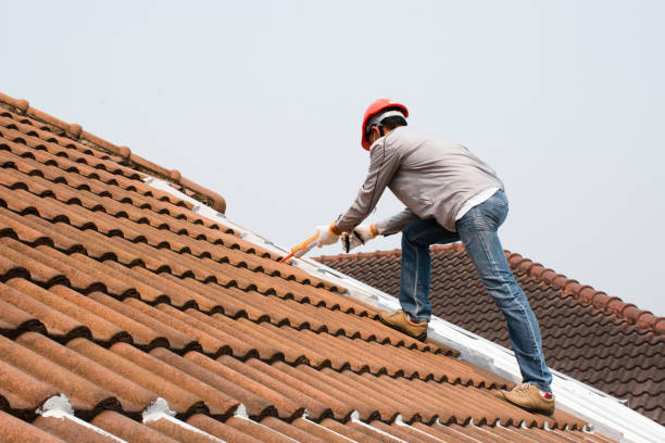 Best Chimney Flashing Repair  in Bayboro, NC