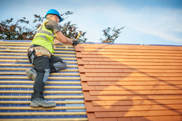  Bayboro, NC Roofing services Pros