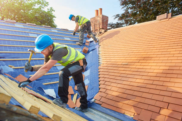 Best Roofing for New Construction  in Bayboro, NC